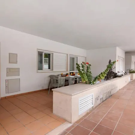 Daire T3 G Alfarrobeira *